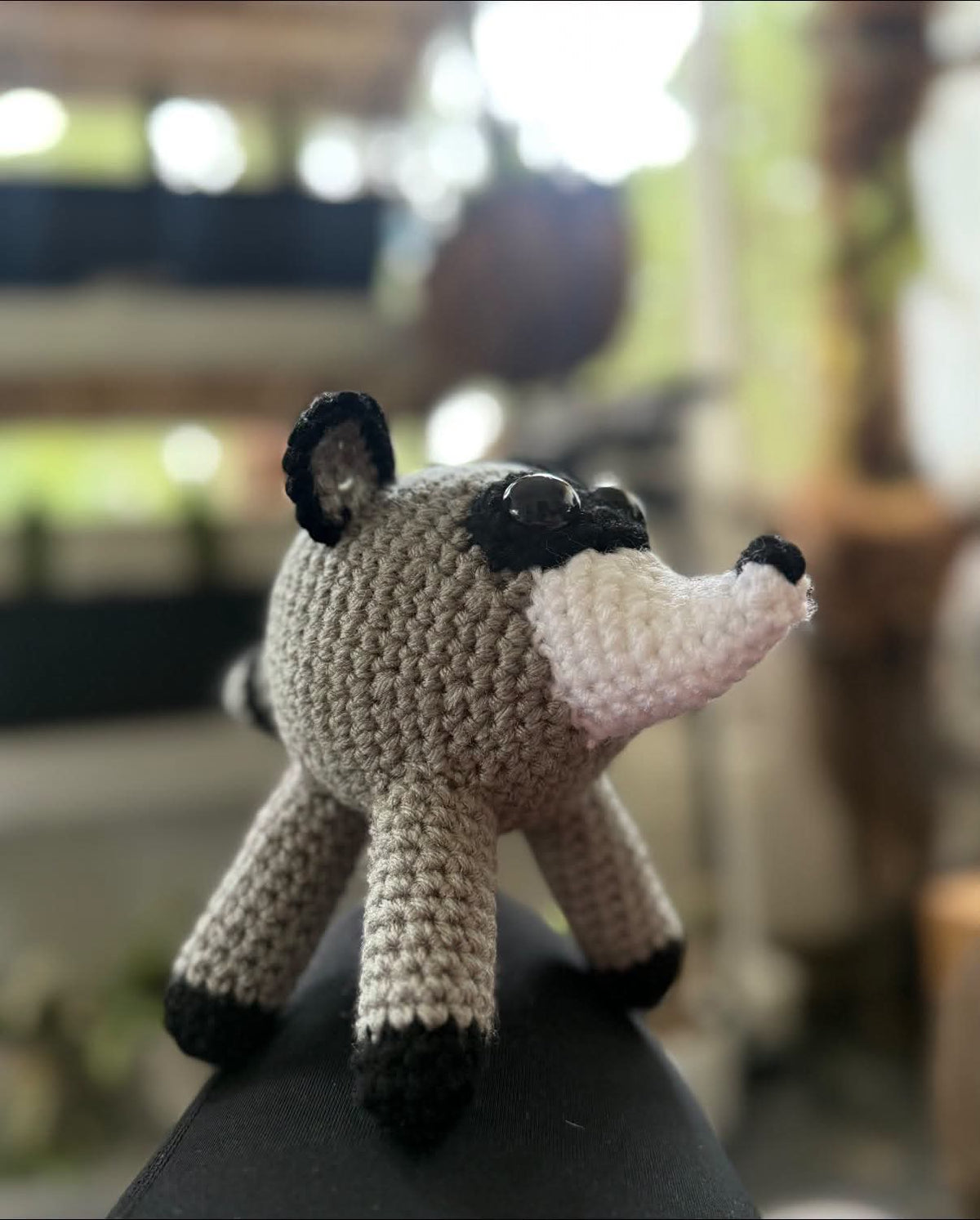 Crochet Jimothy